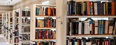 brary-488